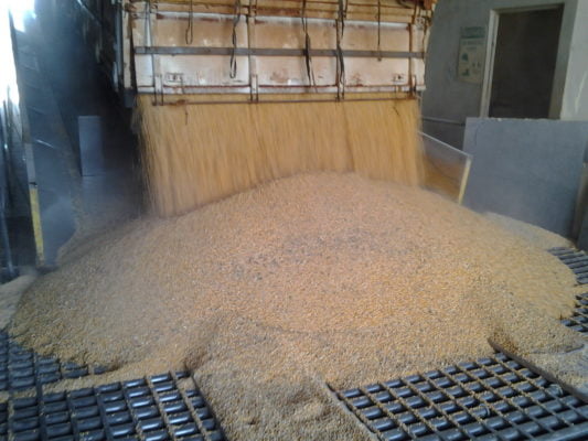 BRF Toledo com o sistema DusControl Mecânico da Wings Ltda instalado