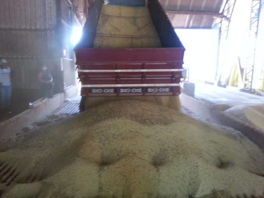 C. Vale - Palotina (PR) e mais 3 unidades DustControl Mecânico Instalações 2012 e 2013