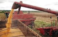 Brasil fecha safra de 2018/2019 com record de 242,1 milhões de toneladas de grãos