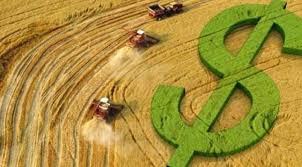 Momento próspero para os produtores de soja no Mato Grosso