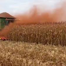 A Wings Ltda vai mostrar para você como resolver o problema em moegas de recebimento em relação a emissão de poeira