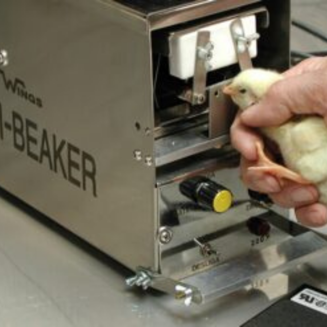 Wings Avi-Beaker automatic debicador for pullets and chicks