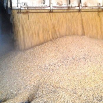 Mechanical DustControl automatic efficient by Wings controls dust emission in receiving pits