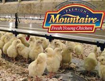 Mountaire installing Wings' DustControl in Maxton, NC Millington, MD Painter, VA Eastville, VA