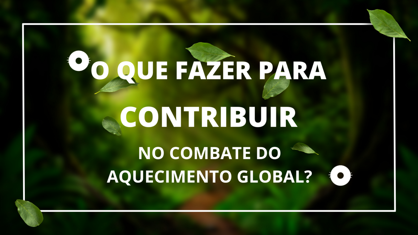 dustcontrol wings rumo caramuro despoeiramento