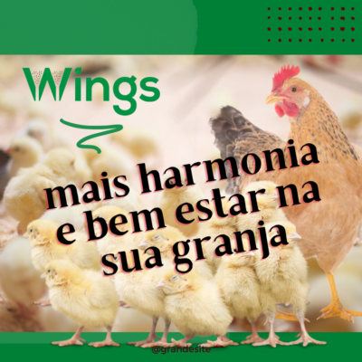 debicagem pintinhos avi-beaker automático wings